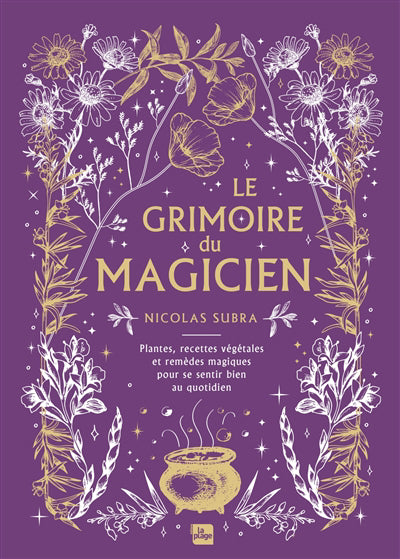 GRIMOIRE DU MAGICIEN