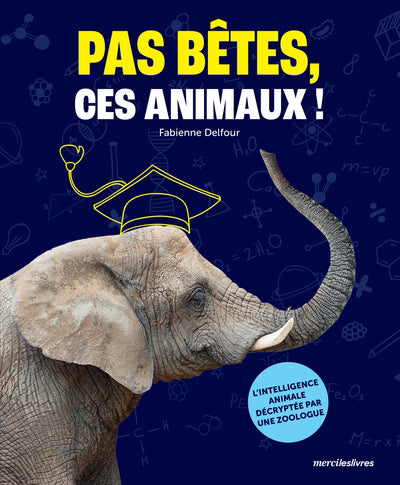 PAS BETES, CES ANIMAUX !