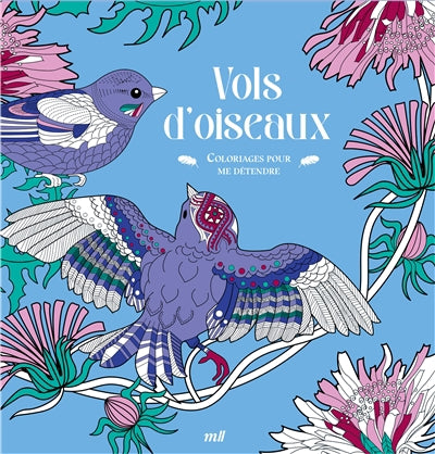 VOLS D'OISEAUX