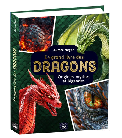 MON GRAND LIVRE DES DRAGONS