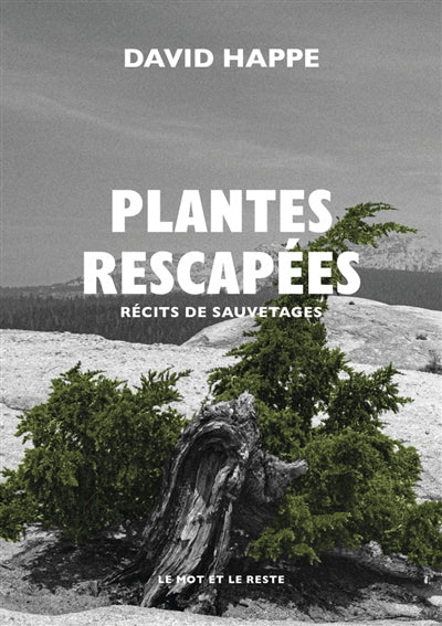 Plantes rescapées : récits de sauvetages