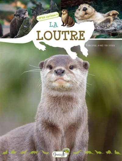 LOUTRE
