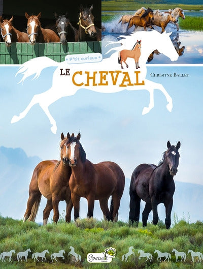 CHEVAL P'TIT CURIEUX