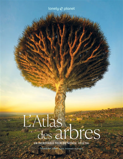 ATLAS DES ARBRES - UN INCROYABLE TOUR DU MONDE VEGETAL