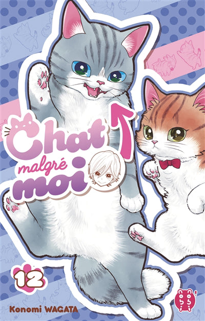 CHAT MALGRE MOI T12