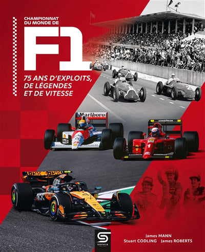 CHAMPIONNAT DU MONDE DE F1