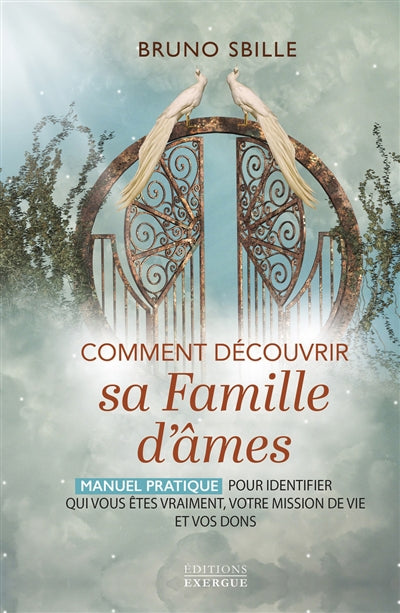 COMMENT DECOUVRIR SA FAMILLE D'AMES  - MANUEL PRA TIQUE POUR IDEN