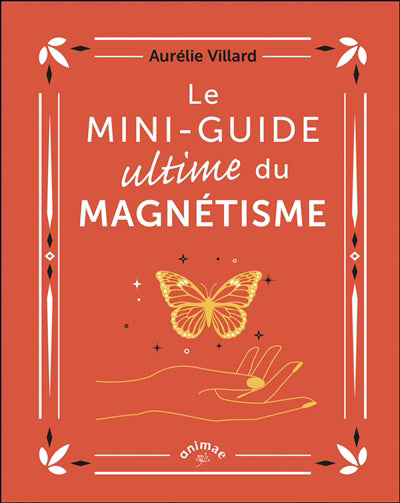 MINI-GUIDE ULTIME DU MAGNETISME