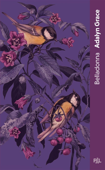 BELLADONNA