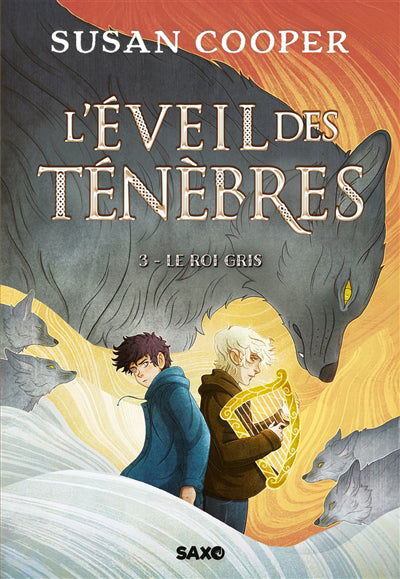 EVEIL DES TENEBRES T.03 :LE ROI GRIS