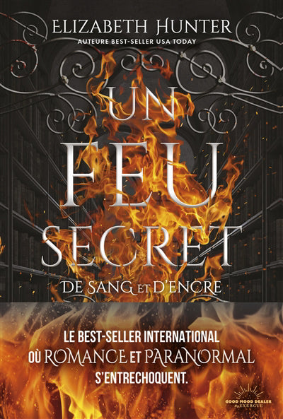 UN FEU SECRET: DE SANG ET D'ENCRE T1