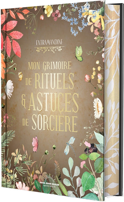 MON GRIMOIRE DE RITUELS ET ASTUCES DE SORCIERE