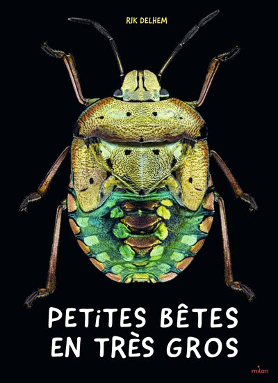 PETITES BETES EN TRES GROS