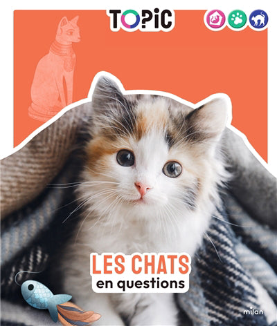CHATS EN QUESTIONS