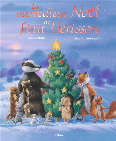MERVEILLEUX NOEL DE PETIT HERISSON