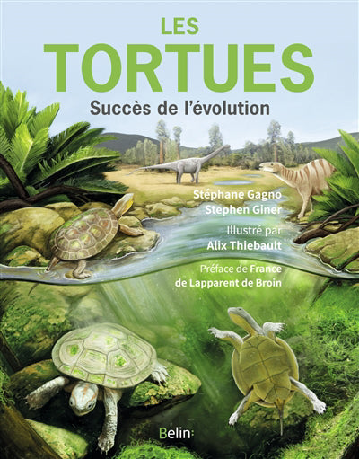 TORTUES, SUCCES DE L'EVOLUTION