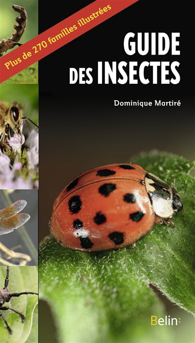 GUIDE DES INSECTES