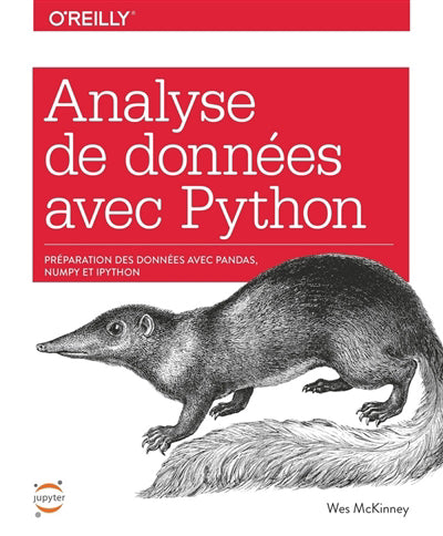ANALYSE DE DONNEES AVEC PYTHON - PREPARATION DES DONNEES AVEC PAN