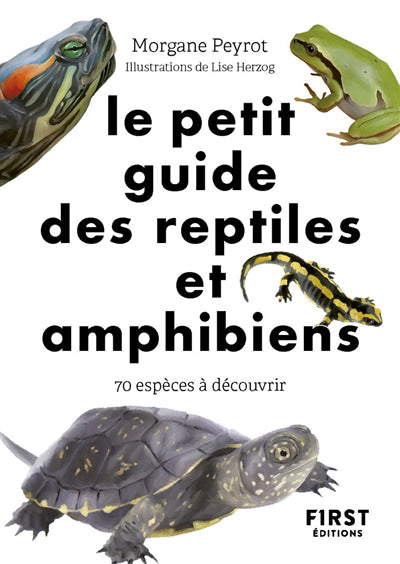 PETIT GUIDE DES REPTILES ET AMPHIBIENS (LE)