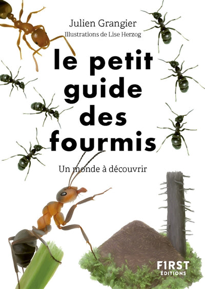 PETIT GUIDE DES FOURMIS (LE)