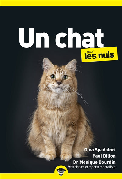 CHAT POUR LES NULS