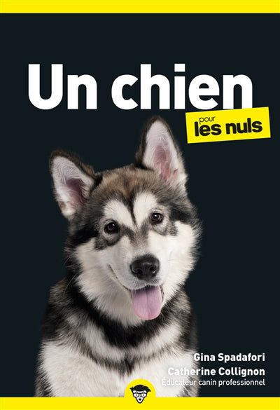 CHIEN POUR LES NULS