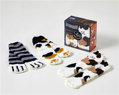 COFFRET LES GOUTERS DE LA FAMILLE CHAT CHAUSSETTES, 3E ED.