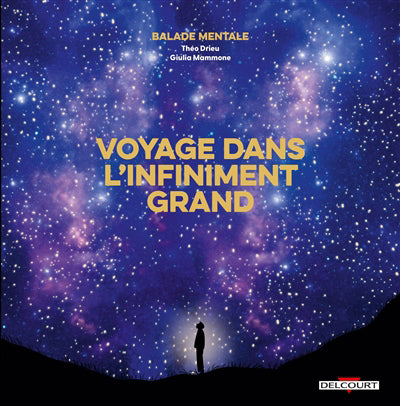 VOYAGE DANS L'INFINIMENT GRAND