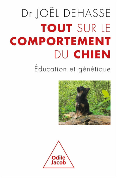 Tout sur le comportement du chien