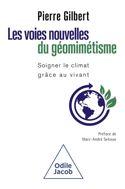 Voies nouvelles du géomimétisme