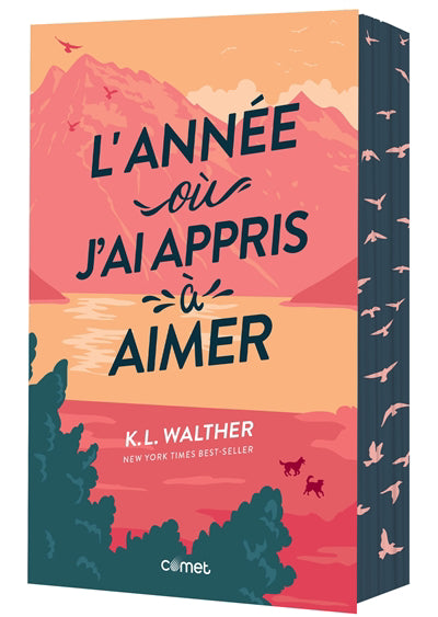 Année où j'ai appris à aimer