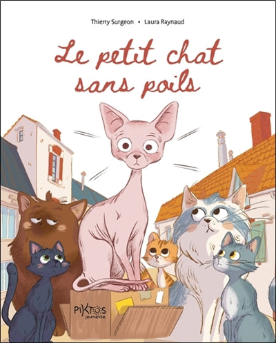 CHAT SANS POILS