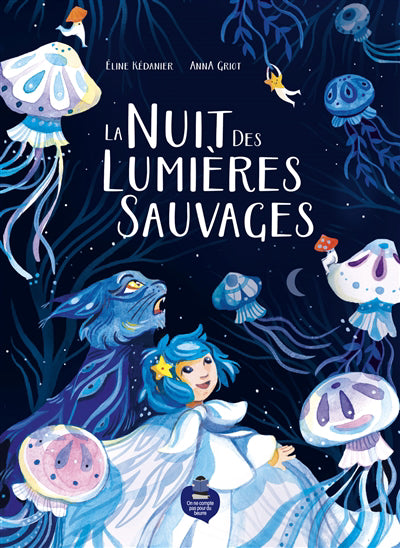 Nuit des lumières sauvages