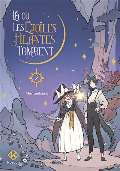 OU LES ETOILES FILANTES TOMBENT  T.02