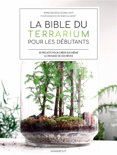 Bible du terrarium pour les débutants