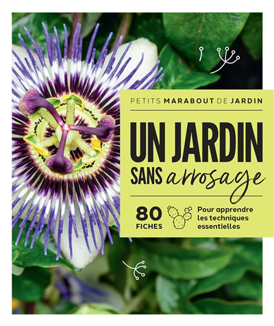 JARDIN SANS ARROSAGE