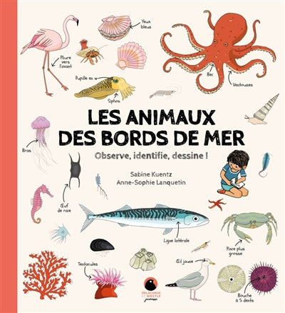 ANIMAUX DES BORDS DE MER OBSERVE,IDENTIFIE, DESSINE !