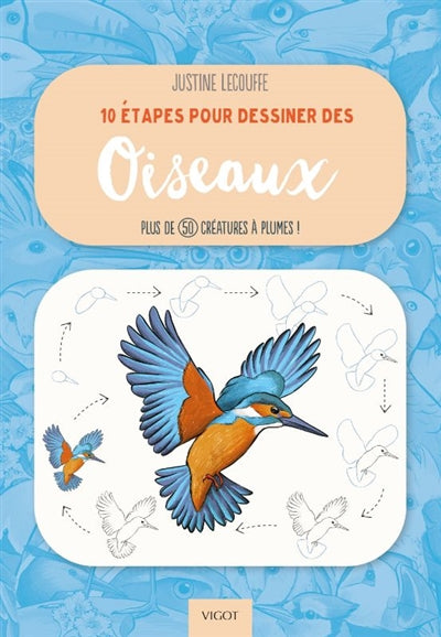 10 ETAPES POUR DESSINER DES OISEAUX