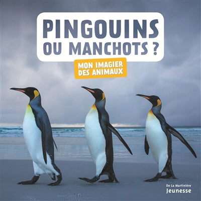 PINGOUINS OU MANCHOTS ?