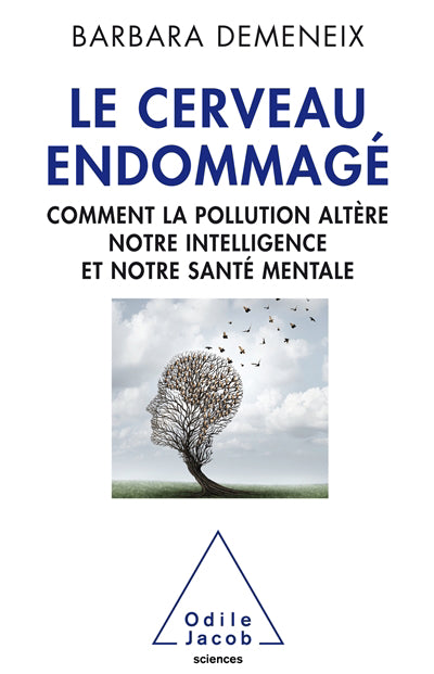 CERVEAU ENDOMMAGE