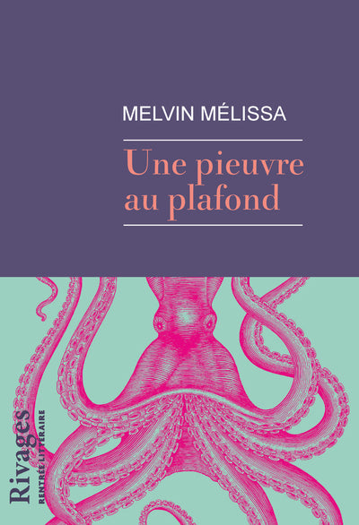 UNE PIEUVRE AU PLAFOND