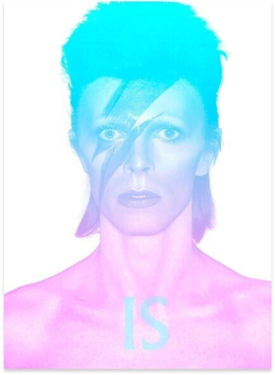 DAVID BOWIE IS INSIDE -NE