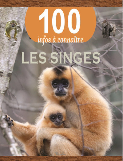 SINGES