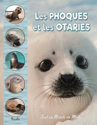 PHOQUES ET LES OTARIES