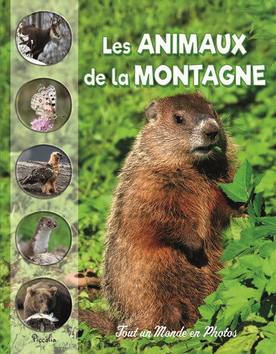 ANIMAUX DE LA MONTAGNE