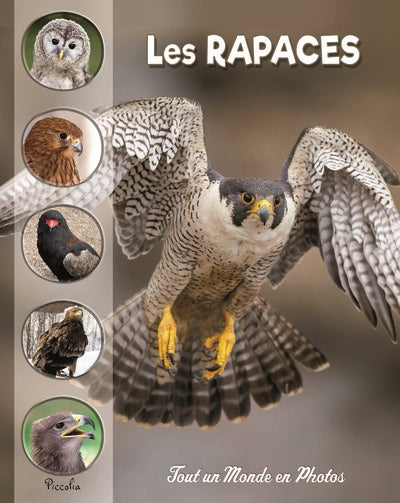 RAPACES