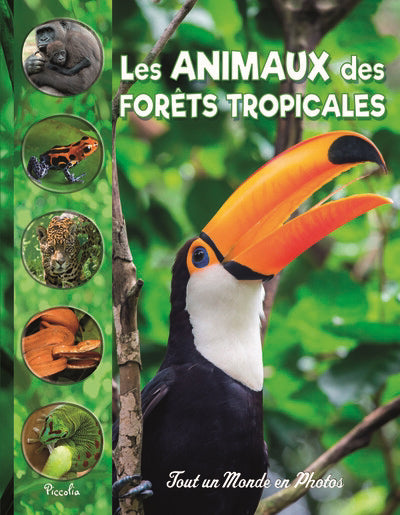 ANIMAUX DES FORETS TROPICALES
