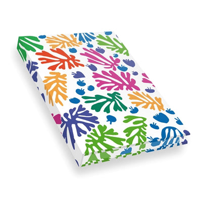 CARNET MATISSE -LA PERRUCHE ET... SIRENE