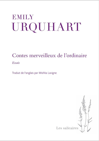 CONTES MERVEILLEUX DE L'ORDINAIRE : ESSAIS