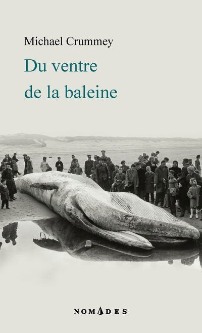 DU VENTRE DE LA BALEINE